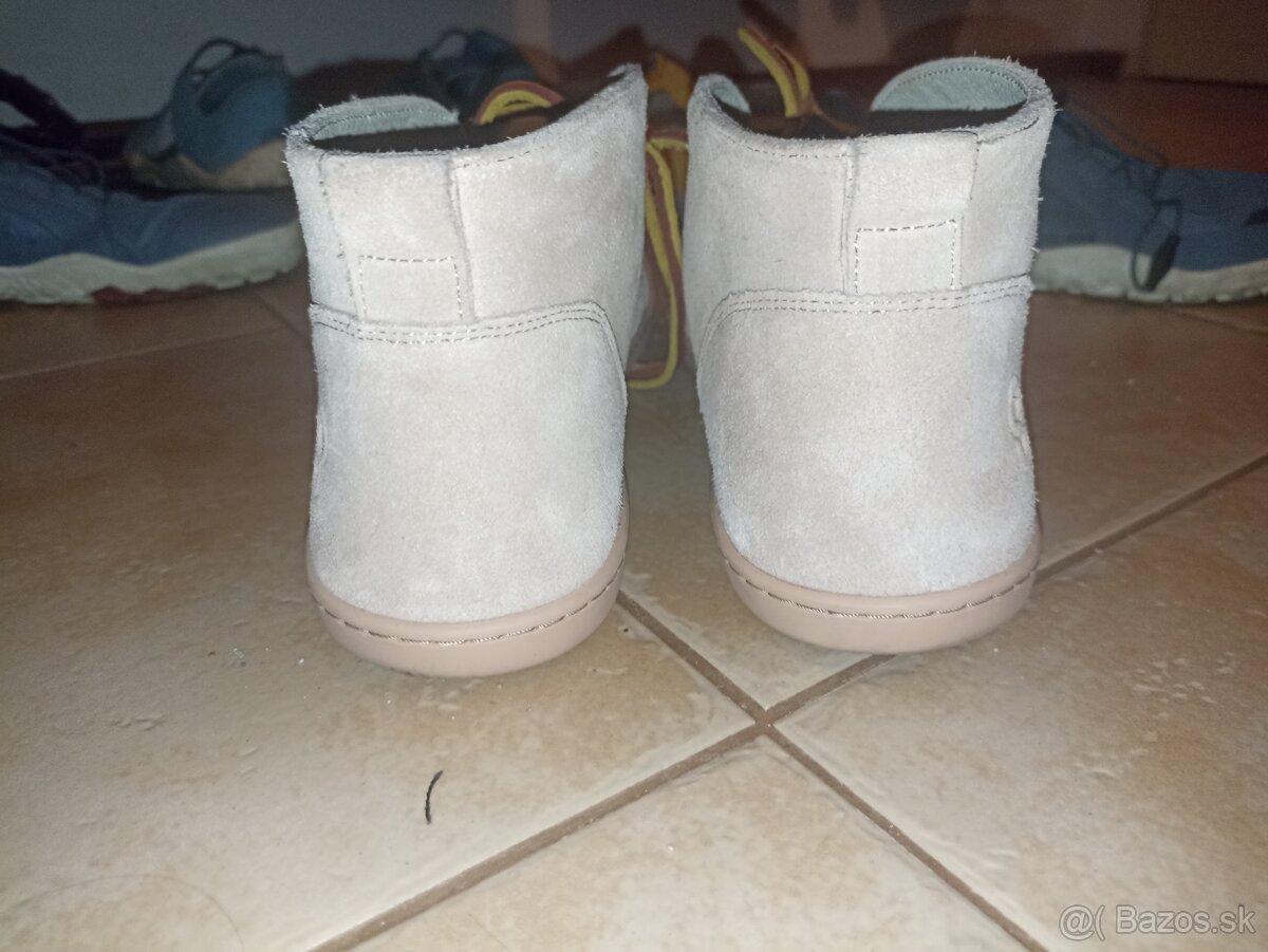 Shapen Berry v.42 - 4