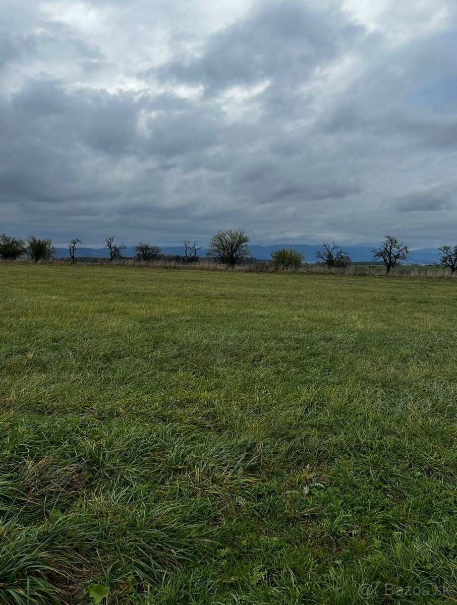 Predaj pozemku alebo prenájom - 4