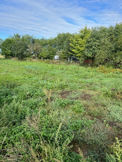 Predaj Stavebný pozemok 700 m2 Hontianska Vrbica Levice - 4