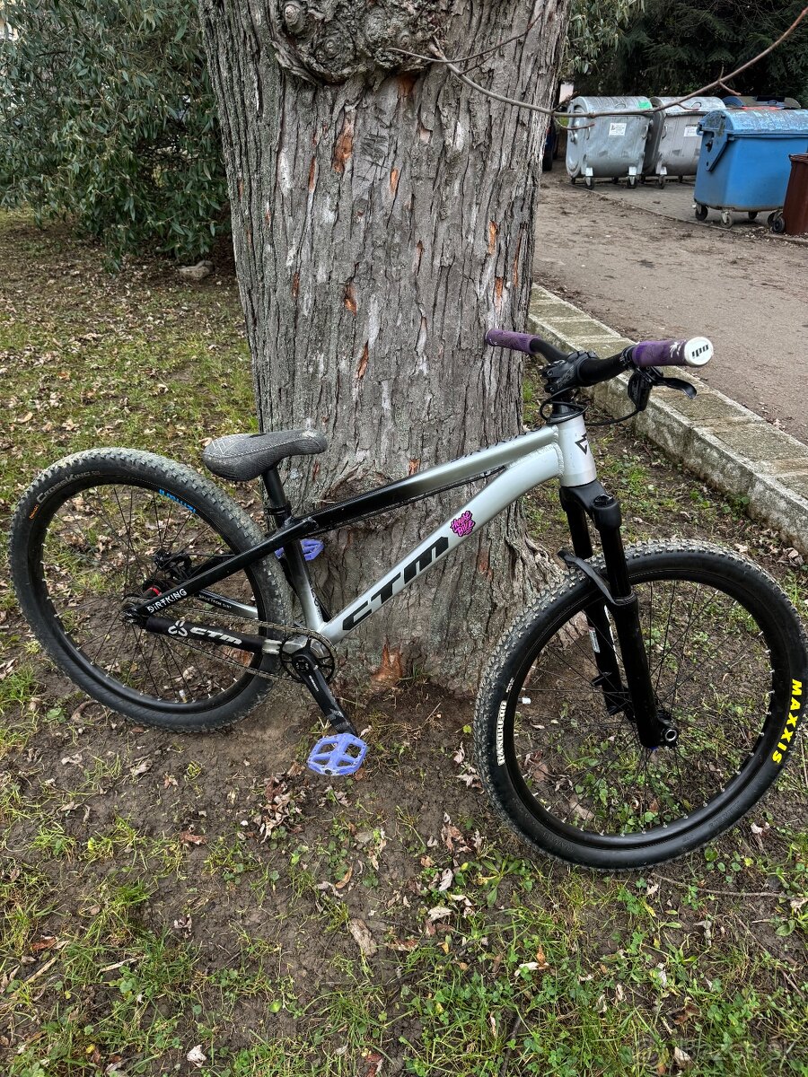 Ctm dirtking - 4