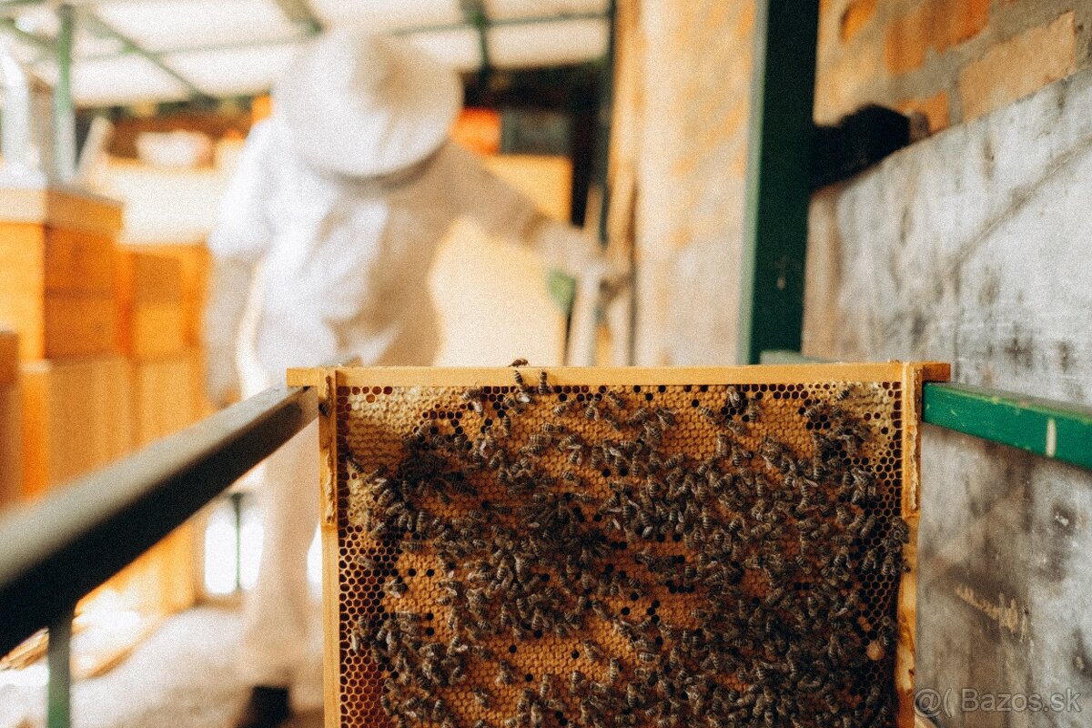 Predám včely - 4