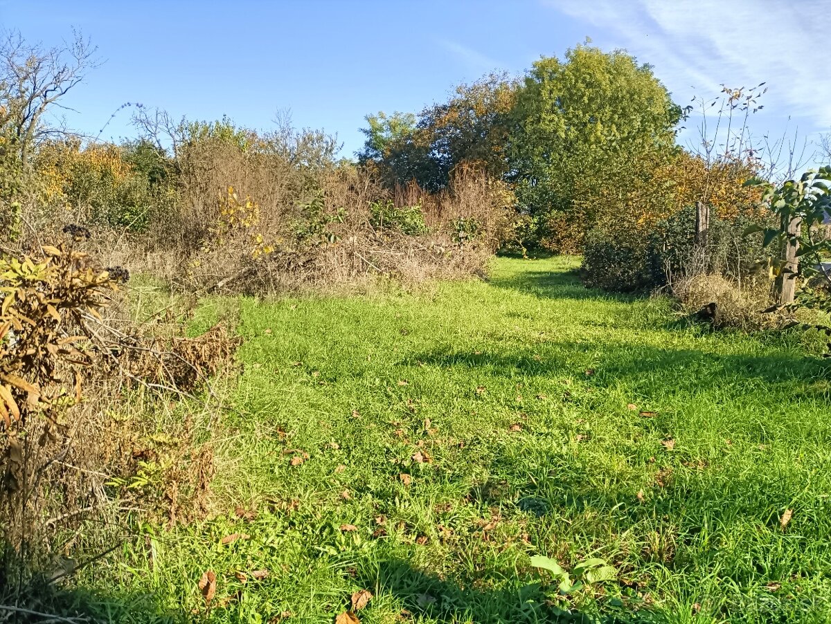 Na predaj starý dom na 19, 7 á pozemku Vráble- zľava - 4