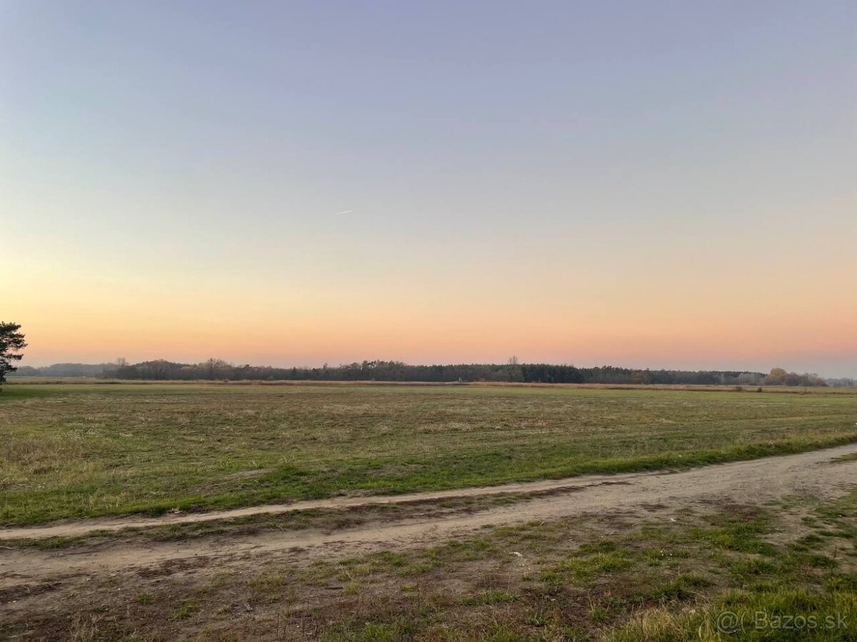 Veľký Pozemok 45 172 m² pri Malých Levároch - 4