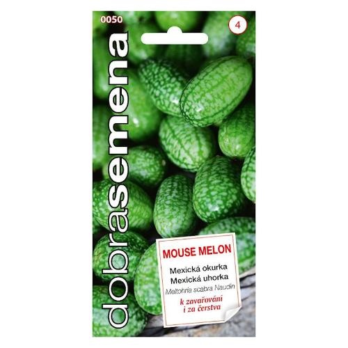 Cucamelon (Melotria scabra) - semená - 4