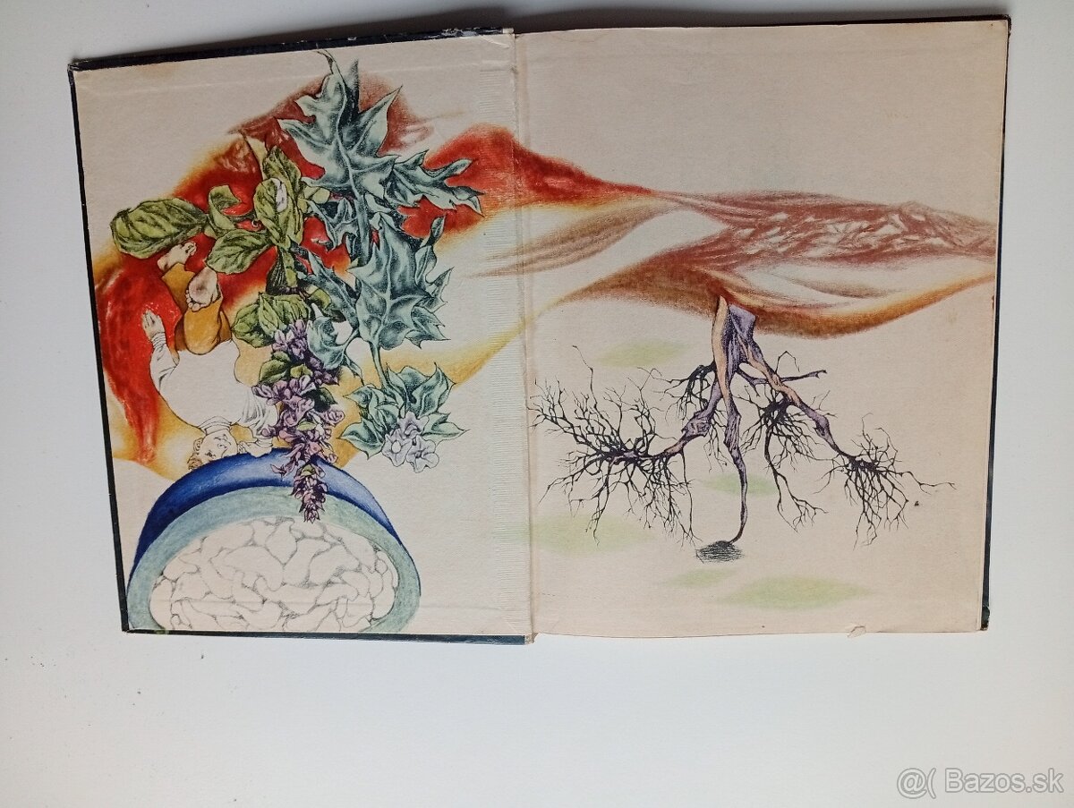 Janko Hraško - Ján Kostra 1960 - 4