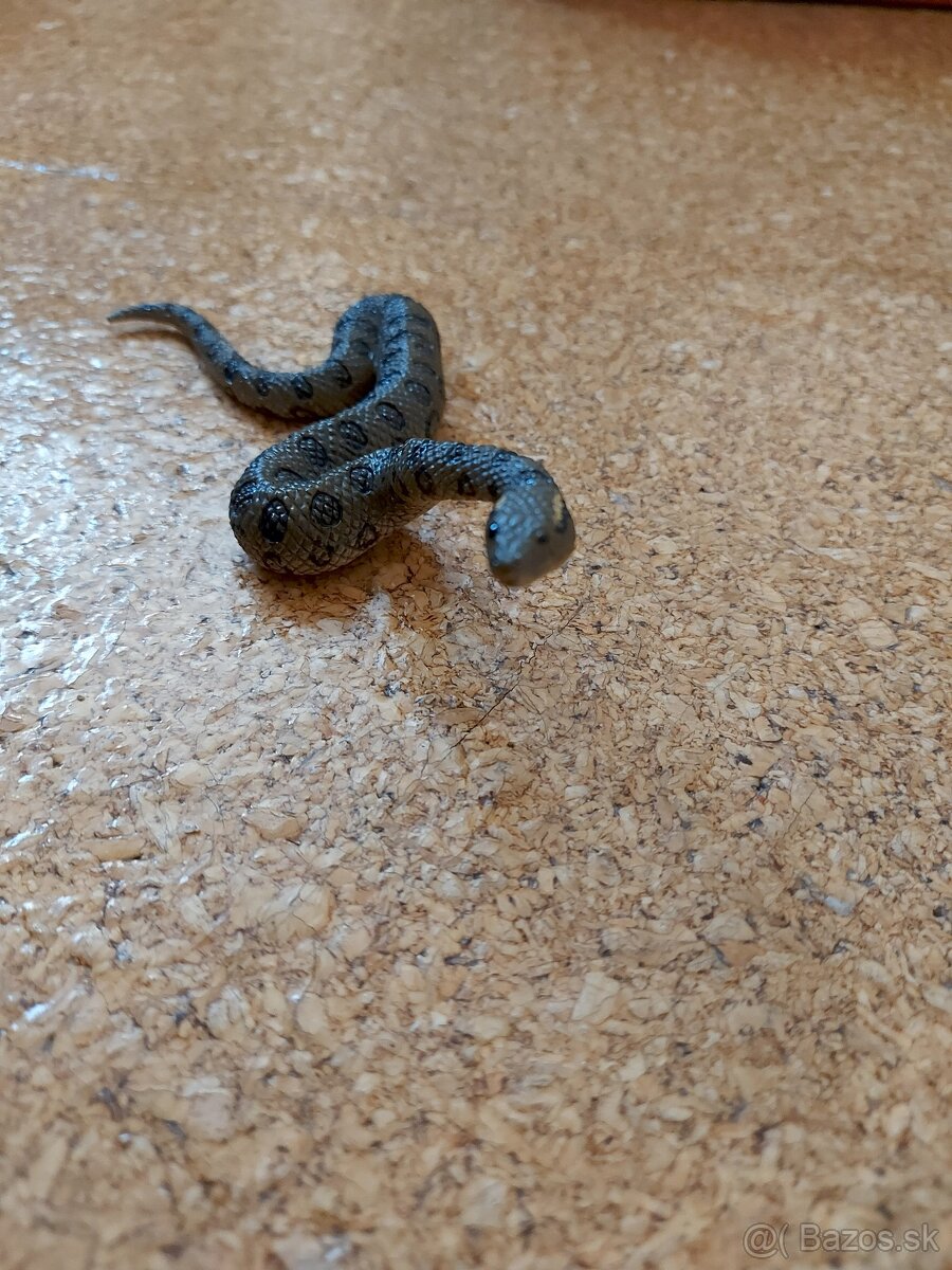 Plastove zvierata a dinosaury - 4