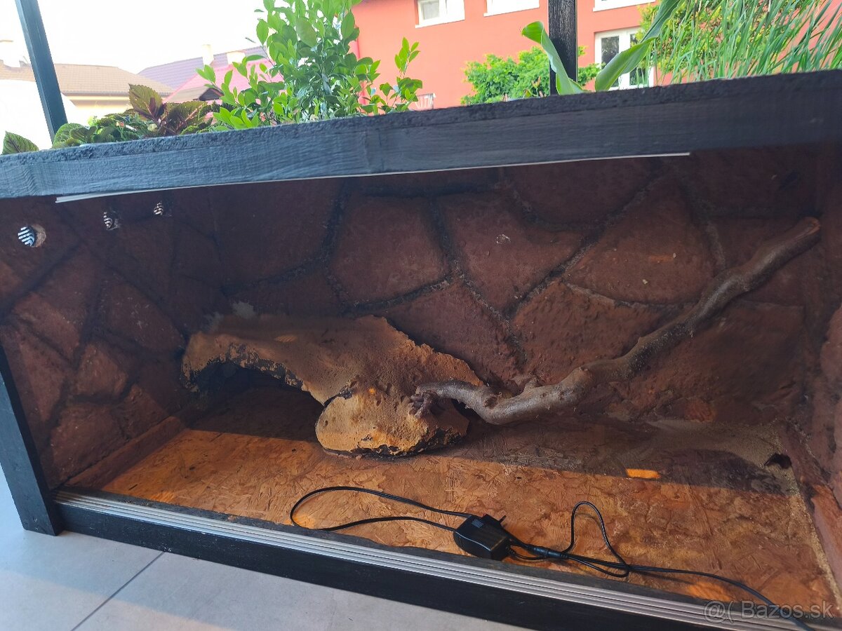 Agamy + terarium + vybava - 4