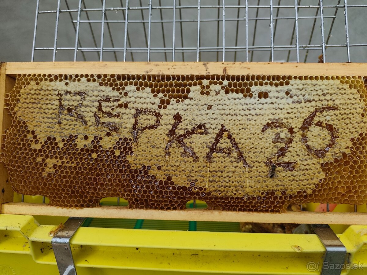 Predám med priamo od včelára - 4
