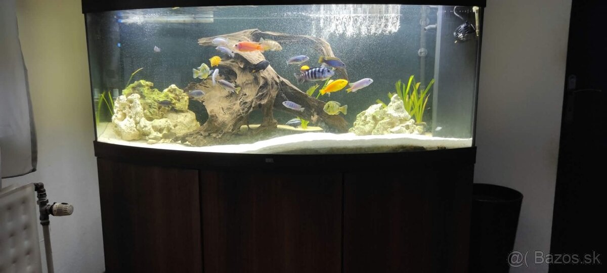 Akvarium - 4