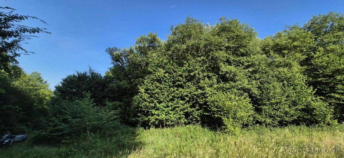 Predaj pozemku 5157 m² – Komárov, okres Bardejov - 4