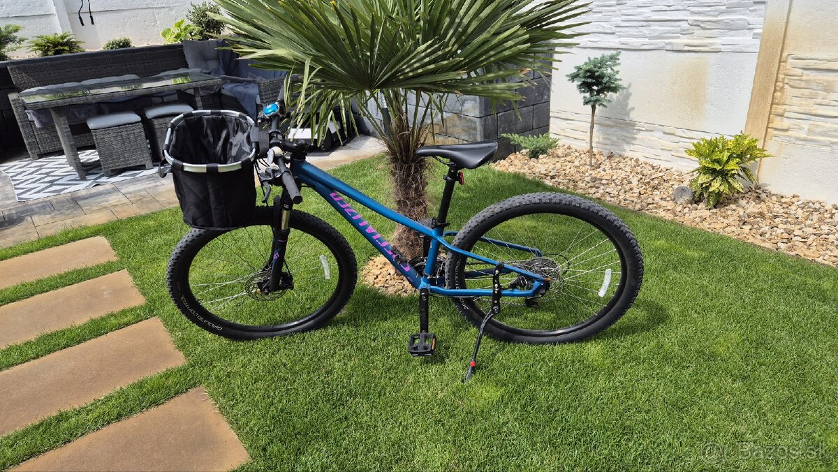 Bycikel dámsky alebo detský - 4