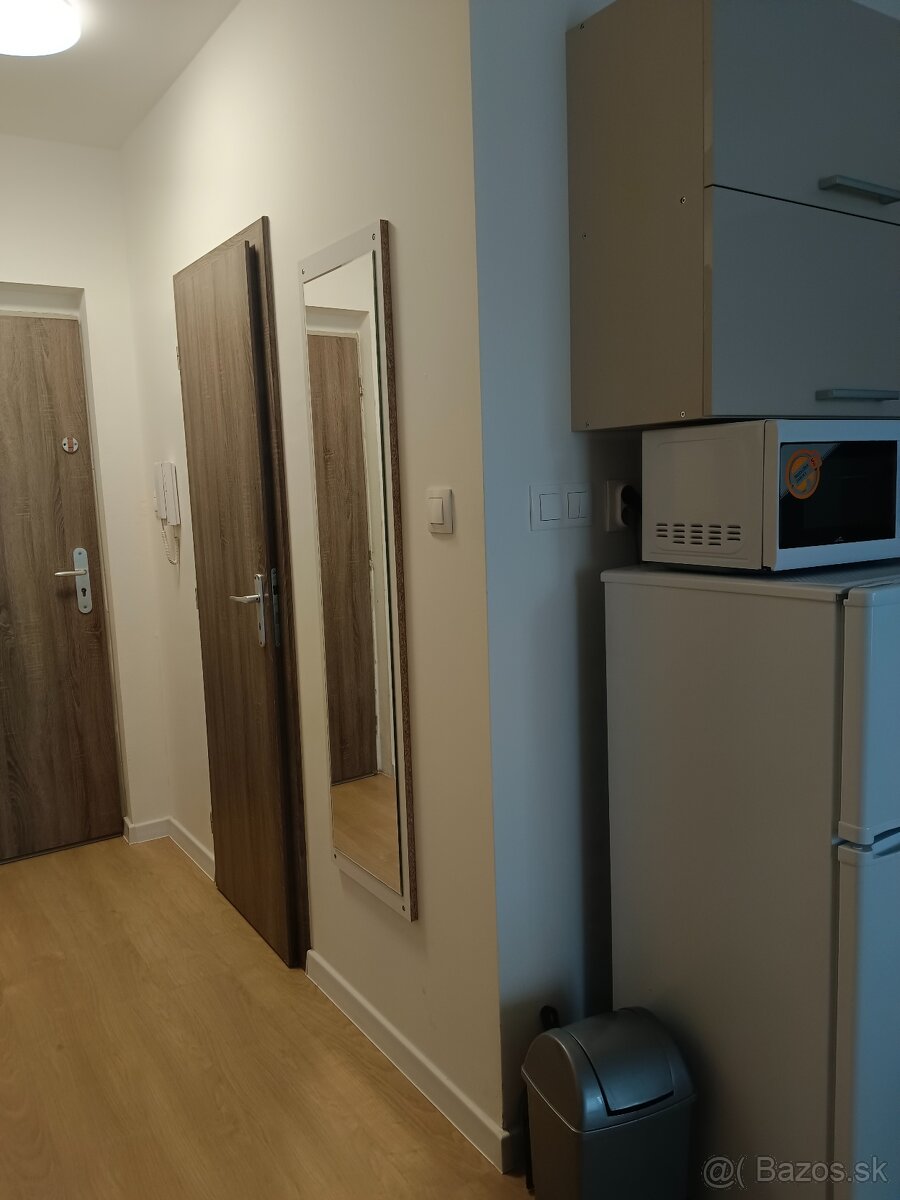 Prenájom garsónky pre 1 osobu, voľna 1.3.2026 - 4