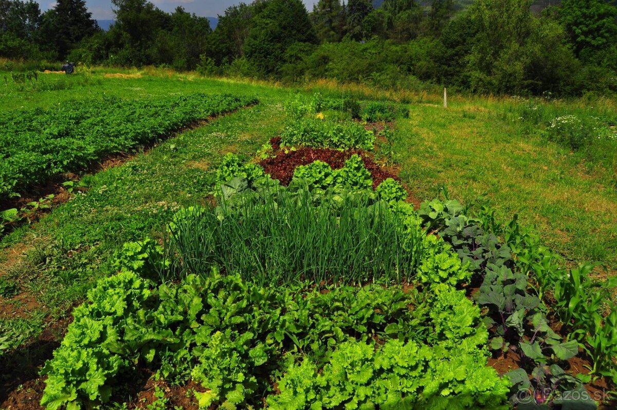 Ponukam brigadu do zahrady - 4
