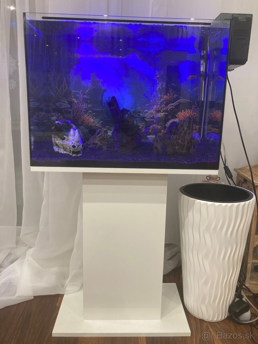 Zariadené akvárium 75l - 4