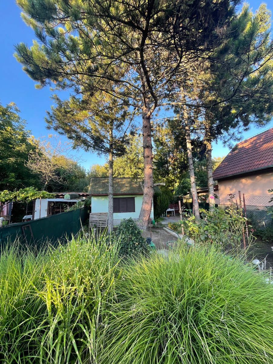 Záhrada Zúgov Nové Zámky - 4