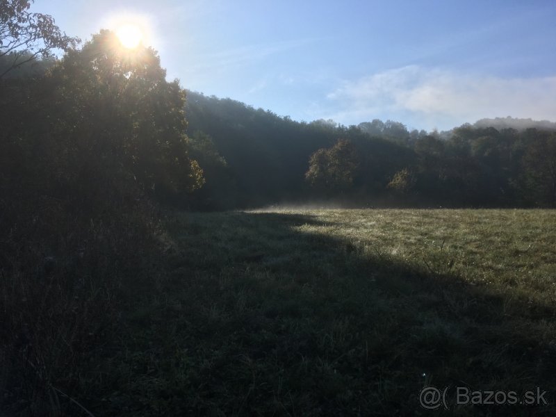 Predám slnenčný pozemok v k.ú. Lipovany - 4