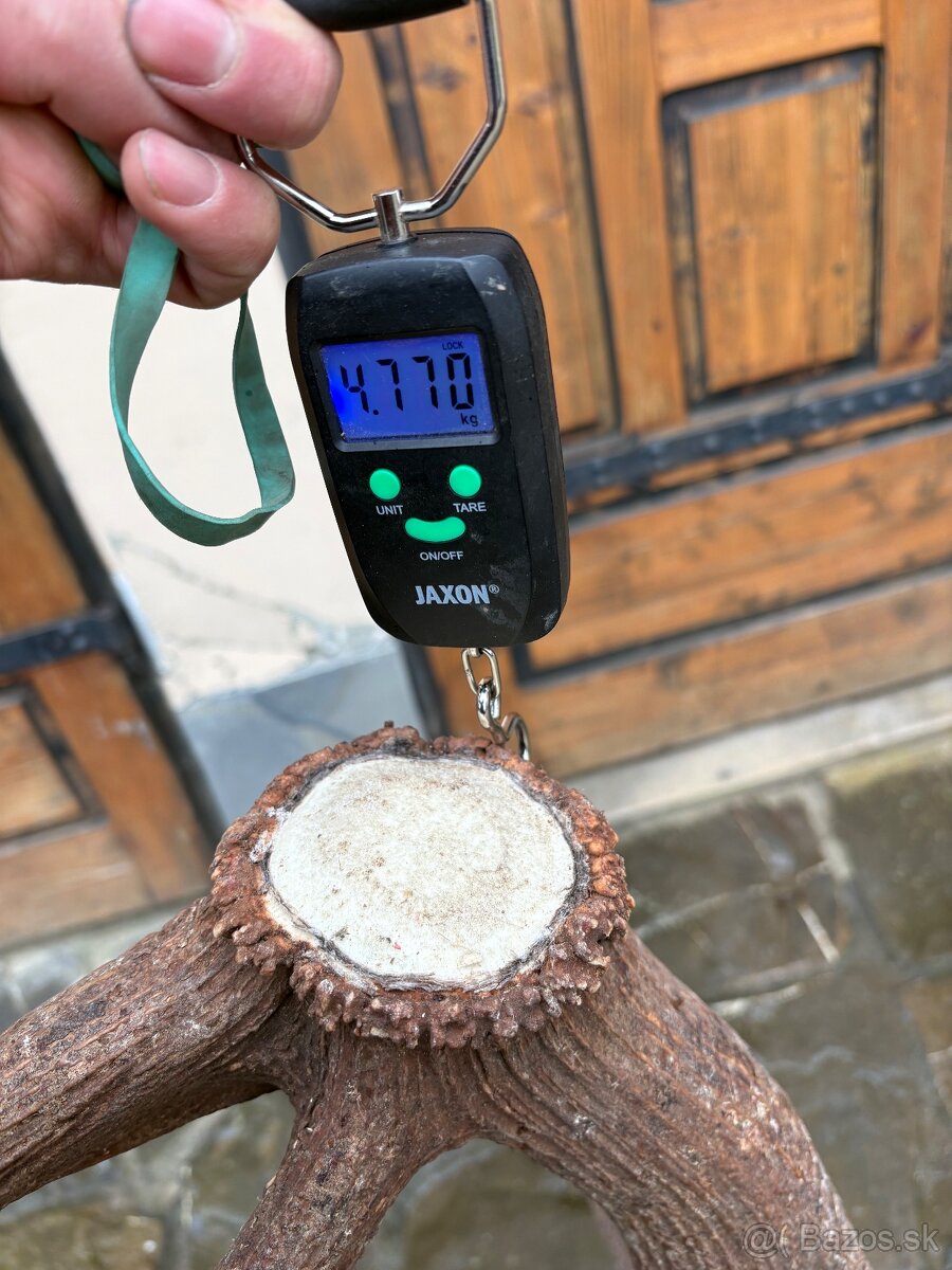 4,8 kg parozie solo - 4