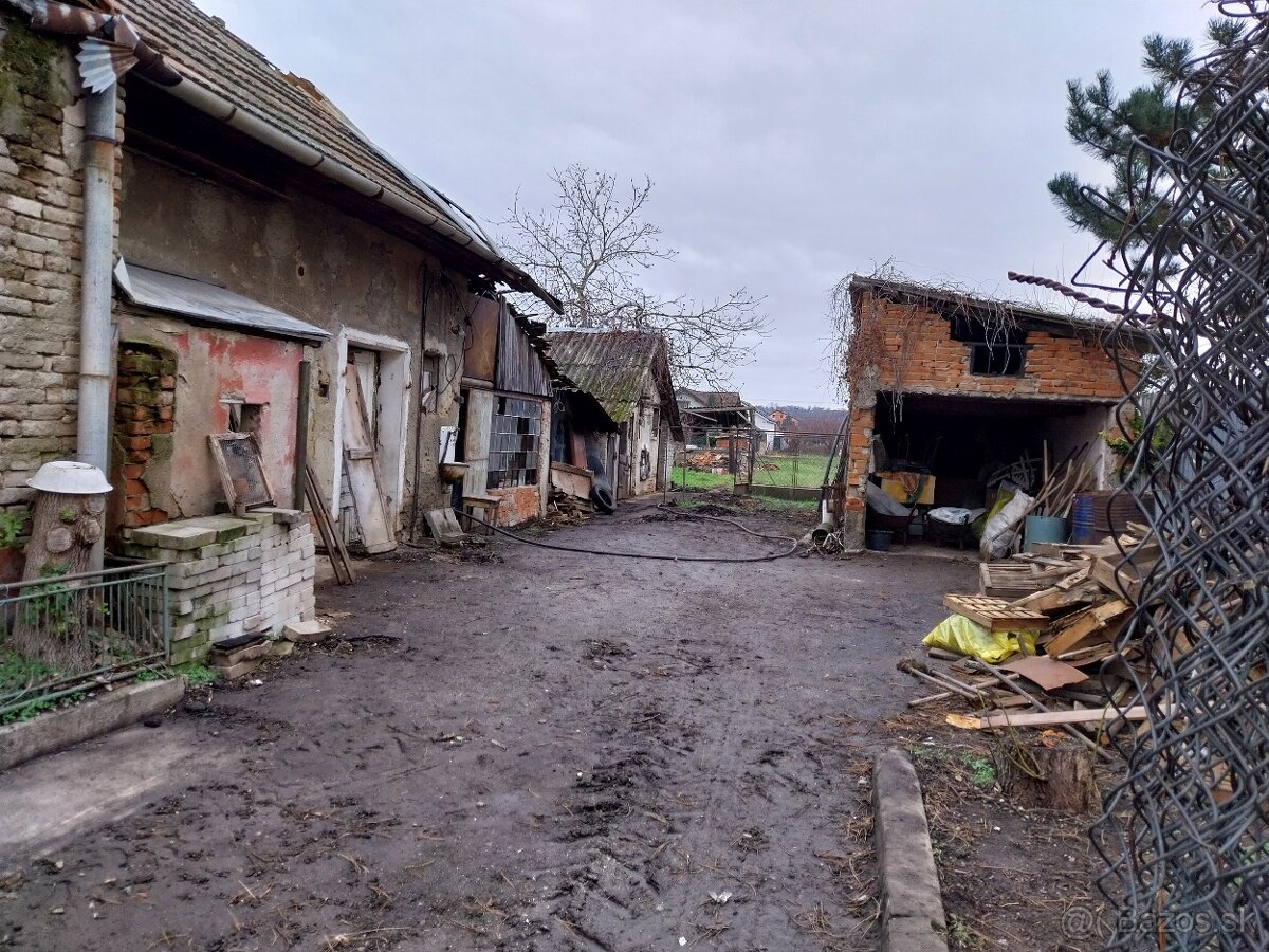 Predaj pozemku so starým domom-Čechynce - 4