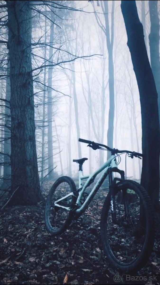 Specialized Stumpjumper Comp Carbon S5 (XL) - 4