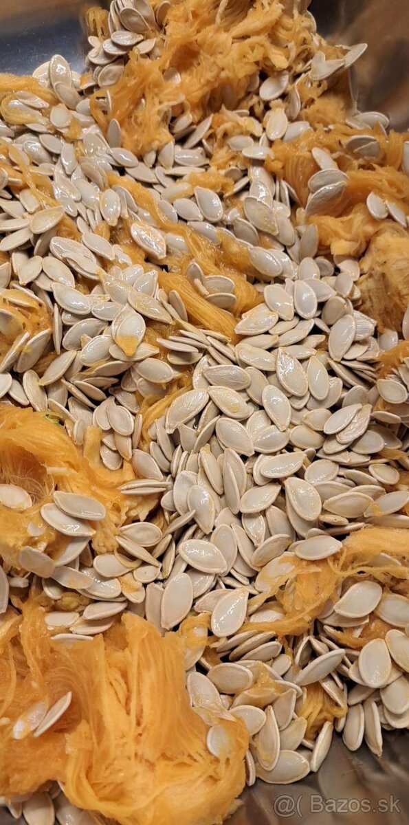 Tekvicove Jadierka . neumývané ručne vybrane - 4