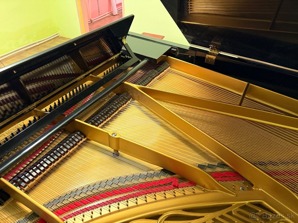 AUGUST FORSTER 170 - 4