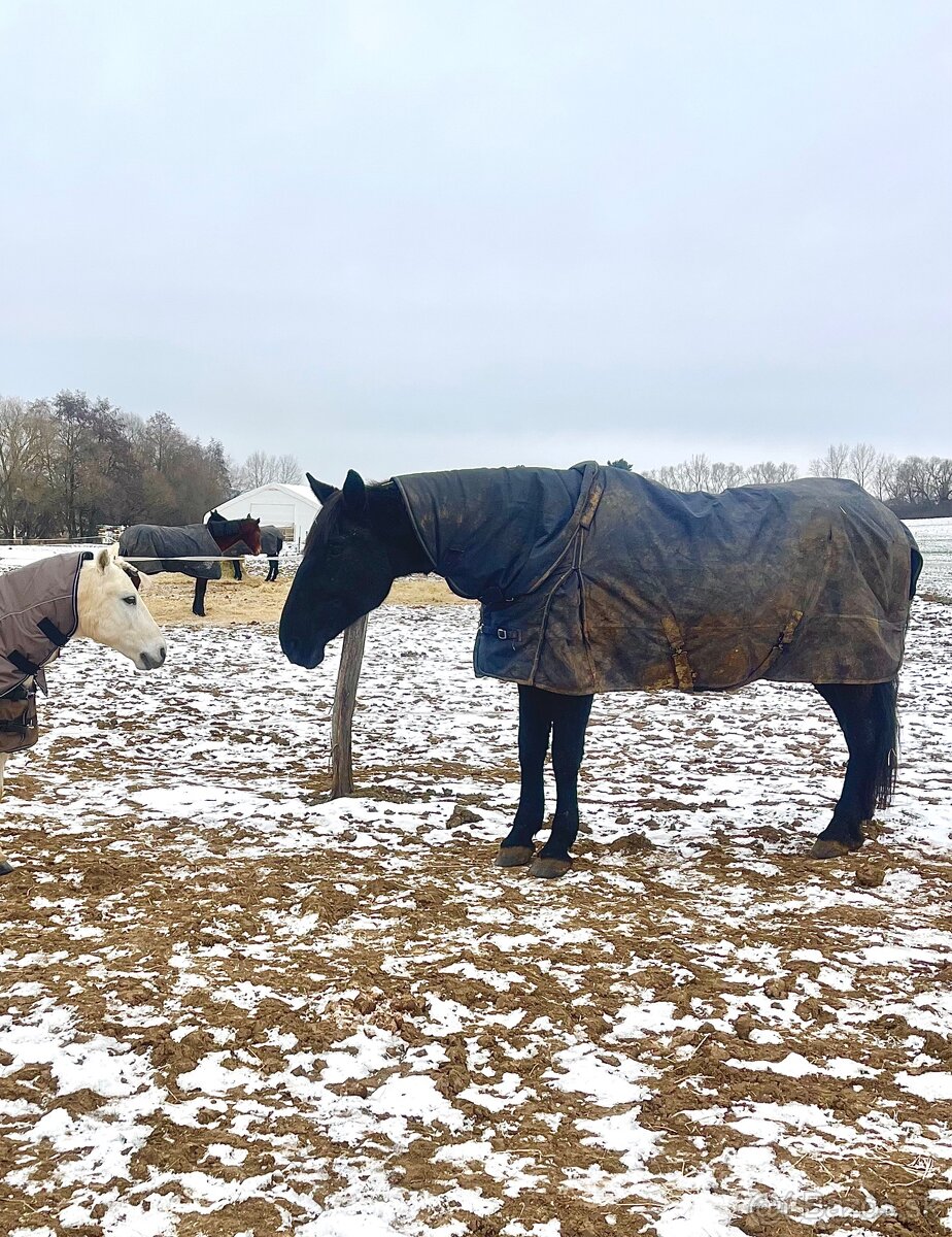 Kobyla s PP aj pre zaciatocnika - 4