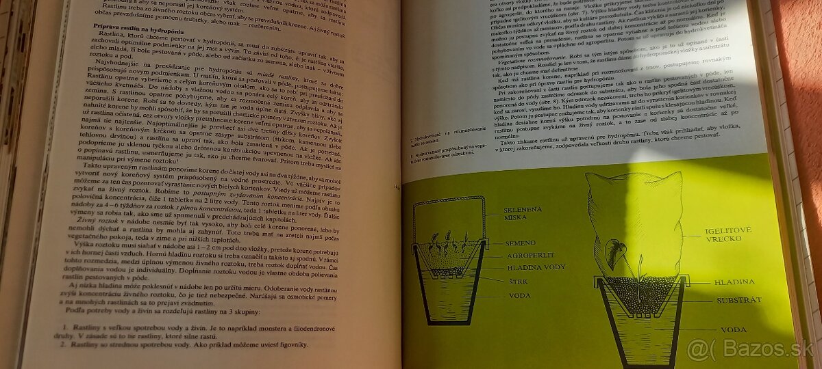 Kvety moja záľuba - 4