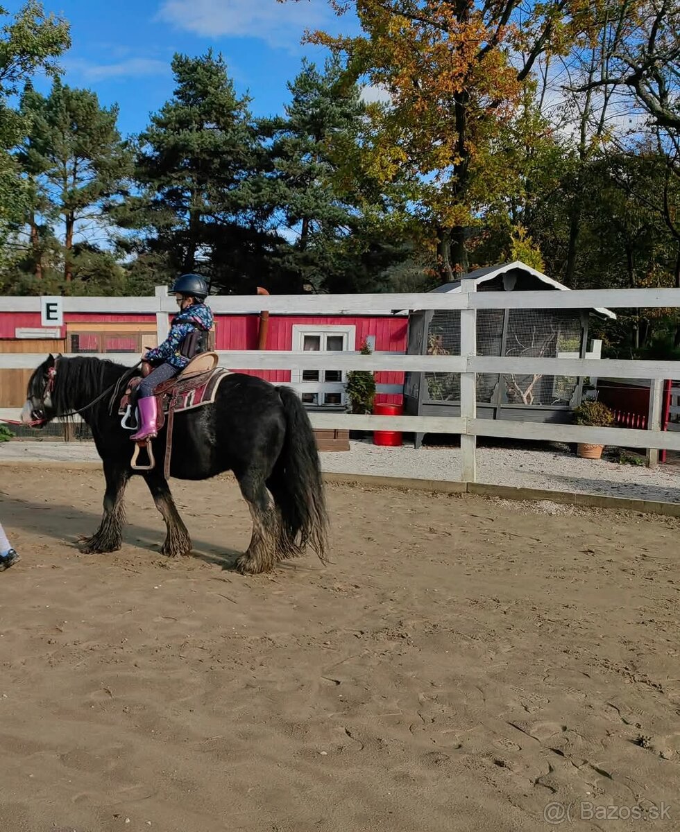 Ustajnenie koní. - 4