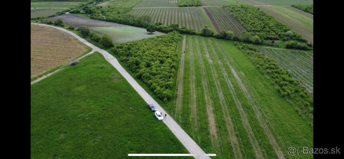 Pozemok pri Modre – s povolením pre mobilný dom - 4