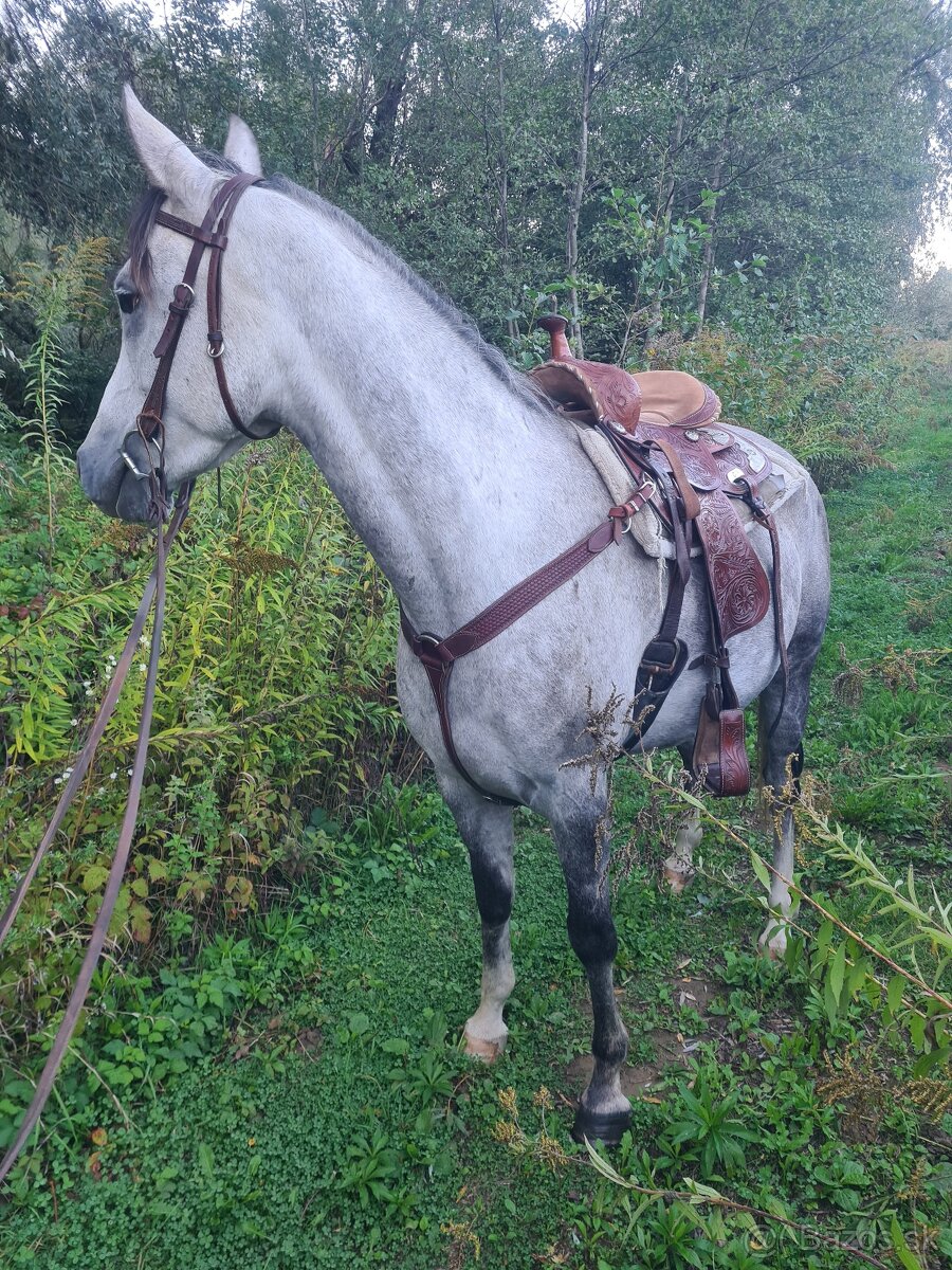 Westernové sedlo - 4