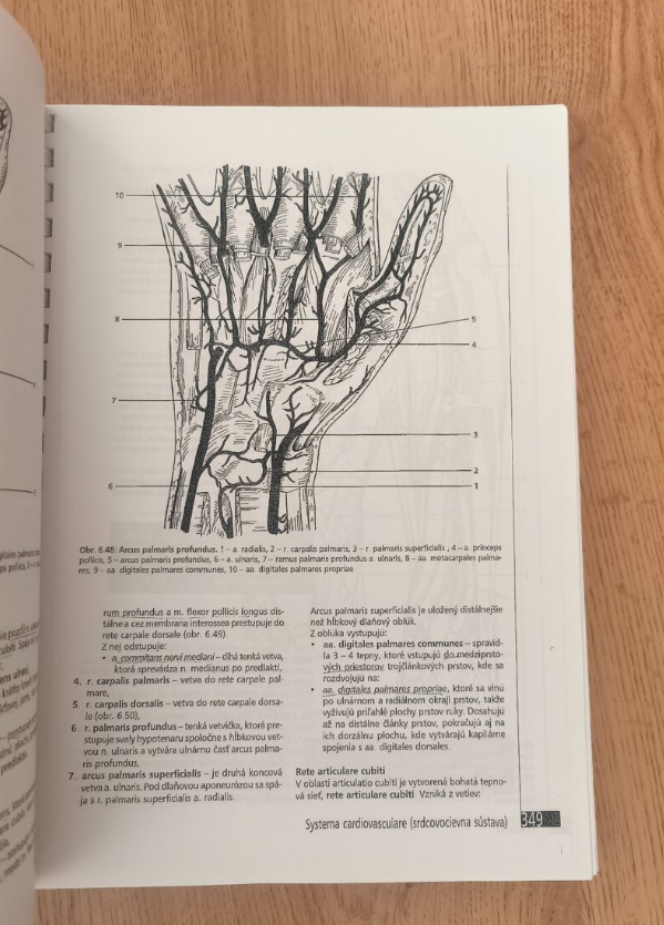 Anatómia ľudského tela, Peter Mráz - 4