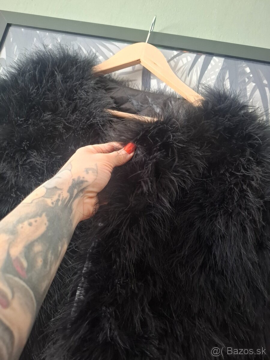 Kabat z praveho peria - 4