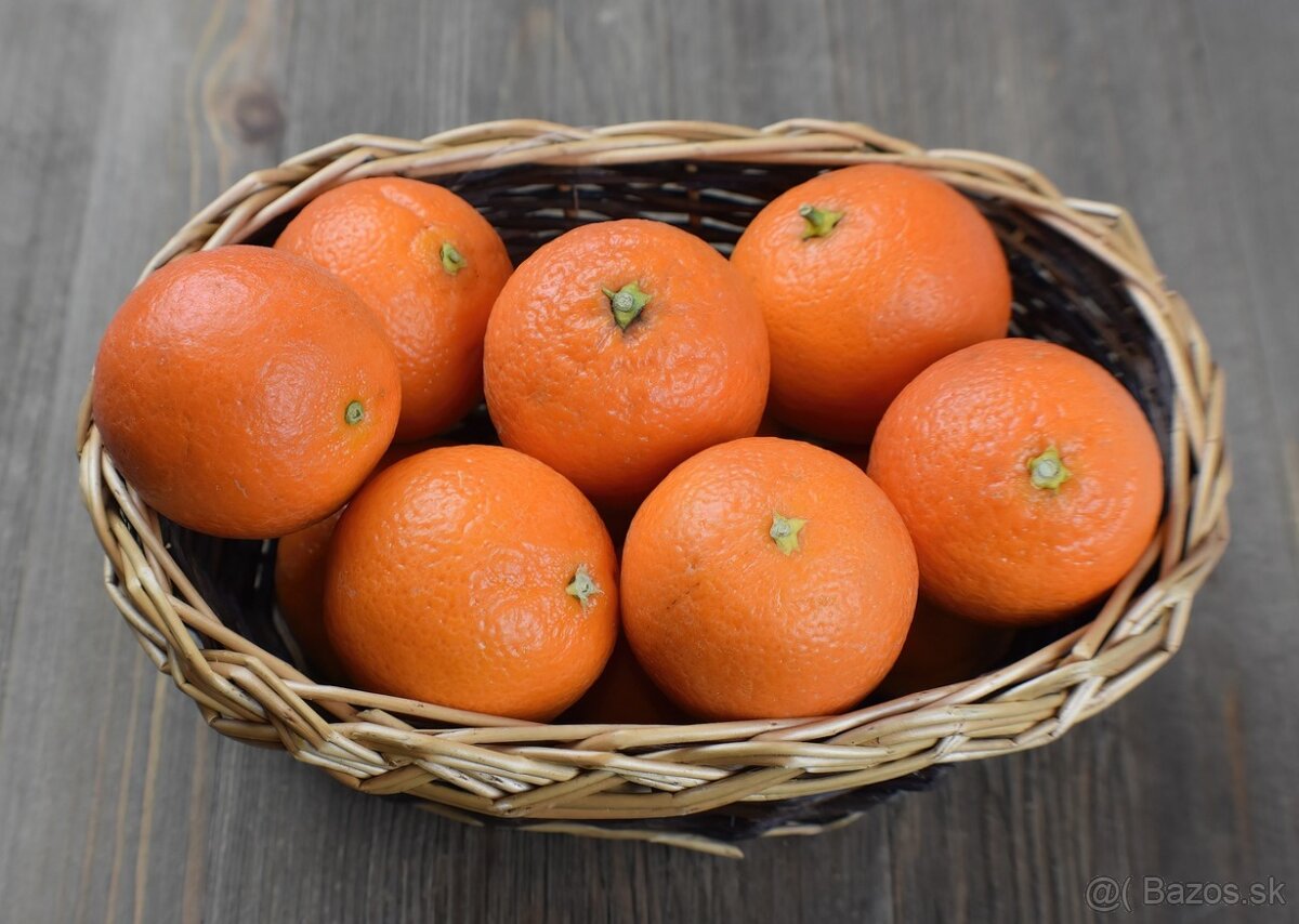 Mandarínkovník-Citrus Reticulata - 4