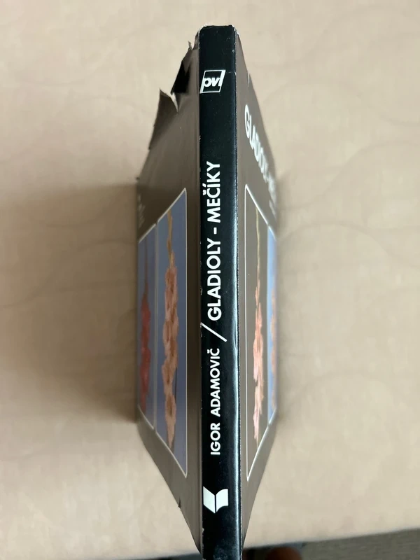 Gladioly - mečíky - Adamovič Igor rok 1983 - 4
