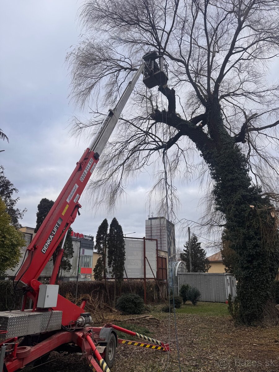 Orez a zrez stromov - 4