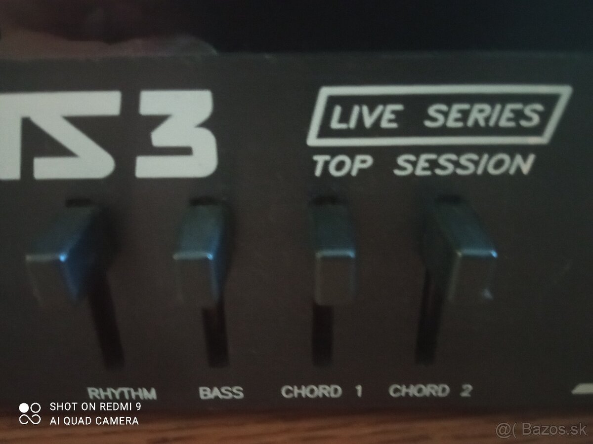 Predam modul Solton TS3 by Ketron - 4