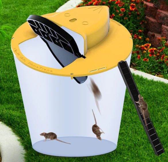 Predam pascu na myši - 4