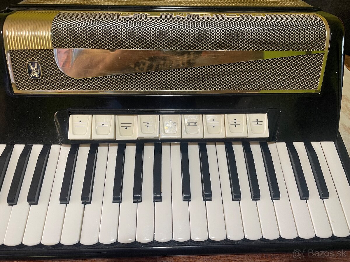 Hohner LuciaIV P 96 basový - 4