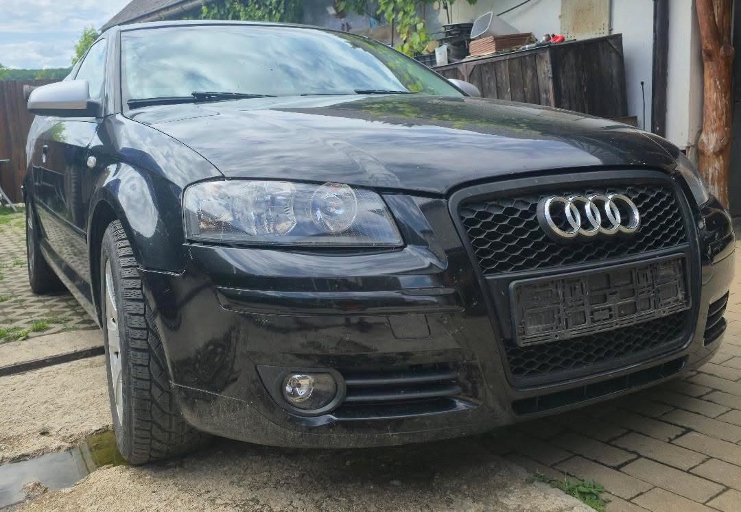 Audi A3 8P 2.0 TDI BKD - 4