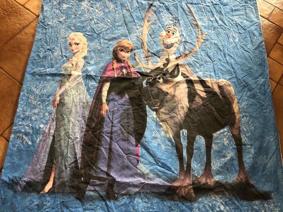 Frozen povliecky - 4