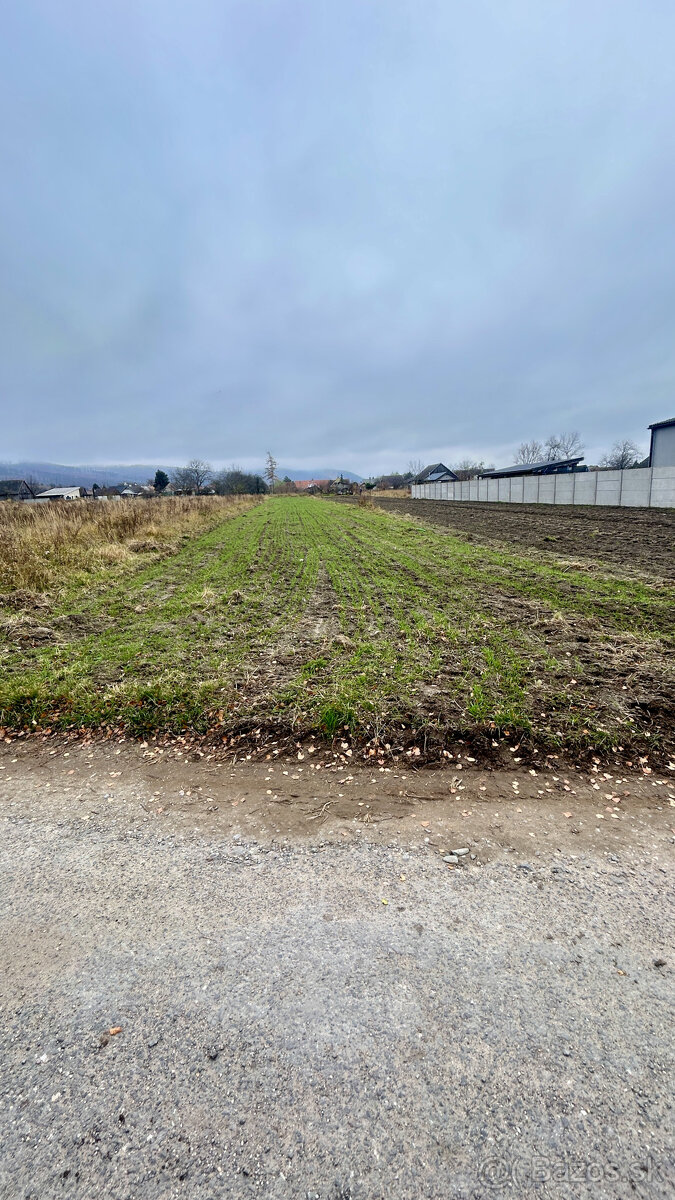 Dom a pozemok 2421m2 Investičná ponuka 95€/m2 pri Malackách - 4