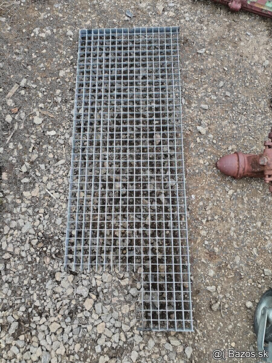 Lesenarske žaby,spojky - 4