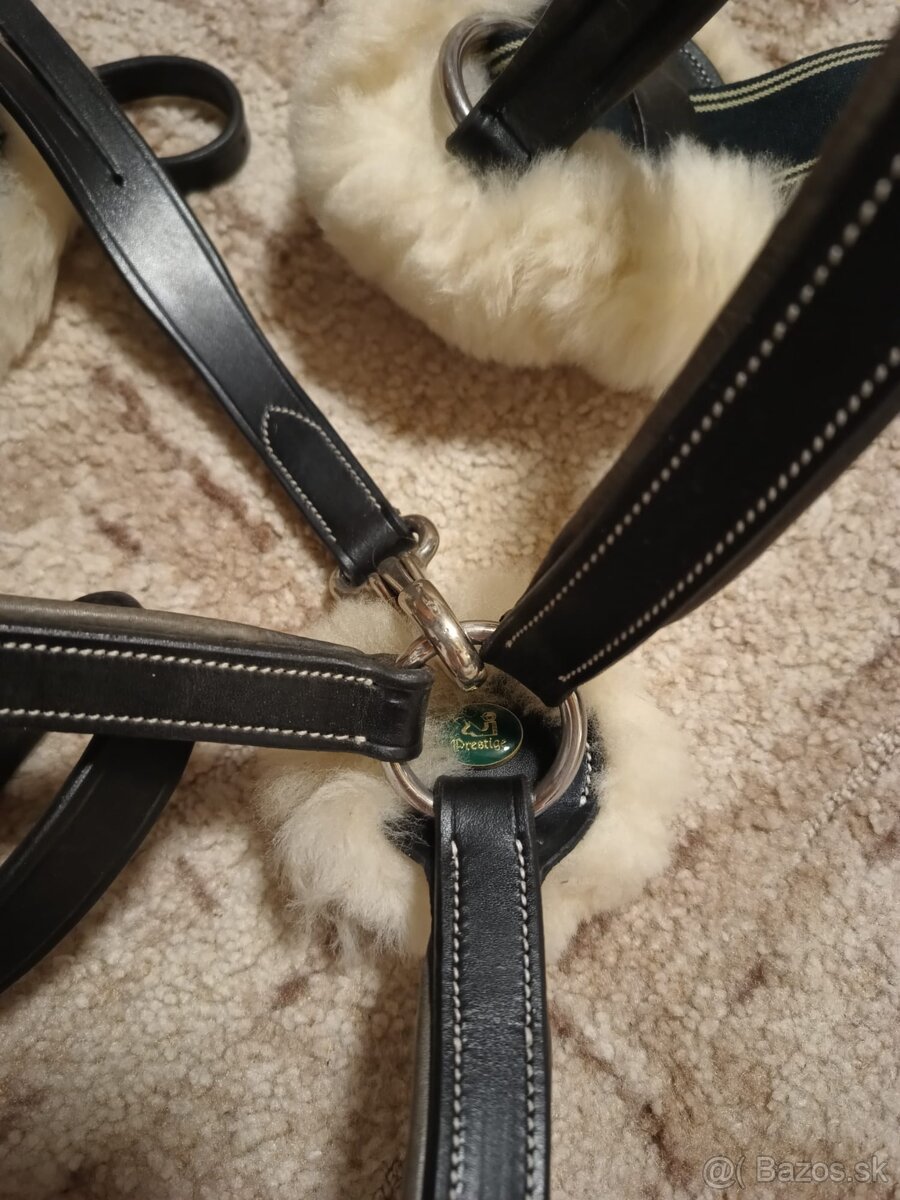 Poprsníky Prestige - 4