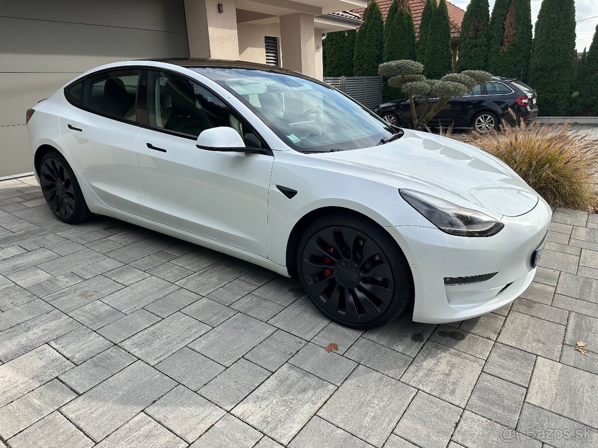 Predam:2022 Tesla3 Performance - 4