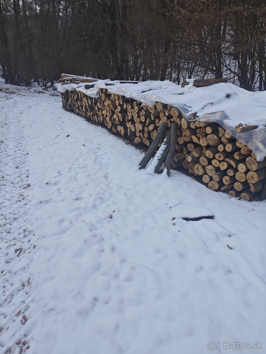 Palivové drevo - 4