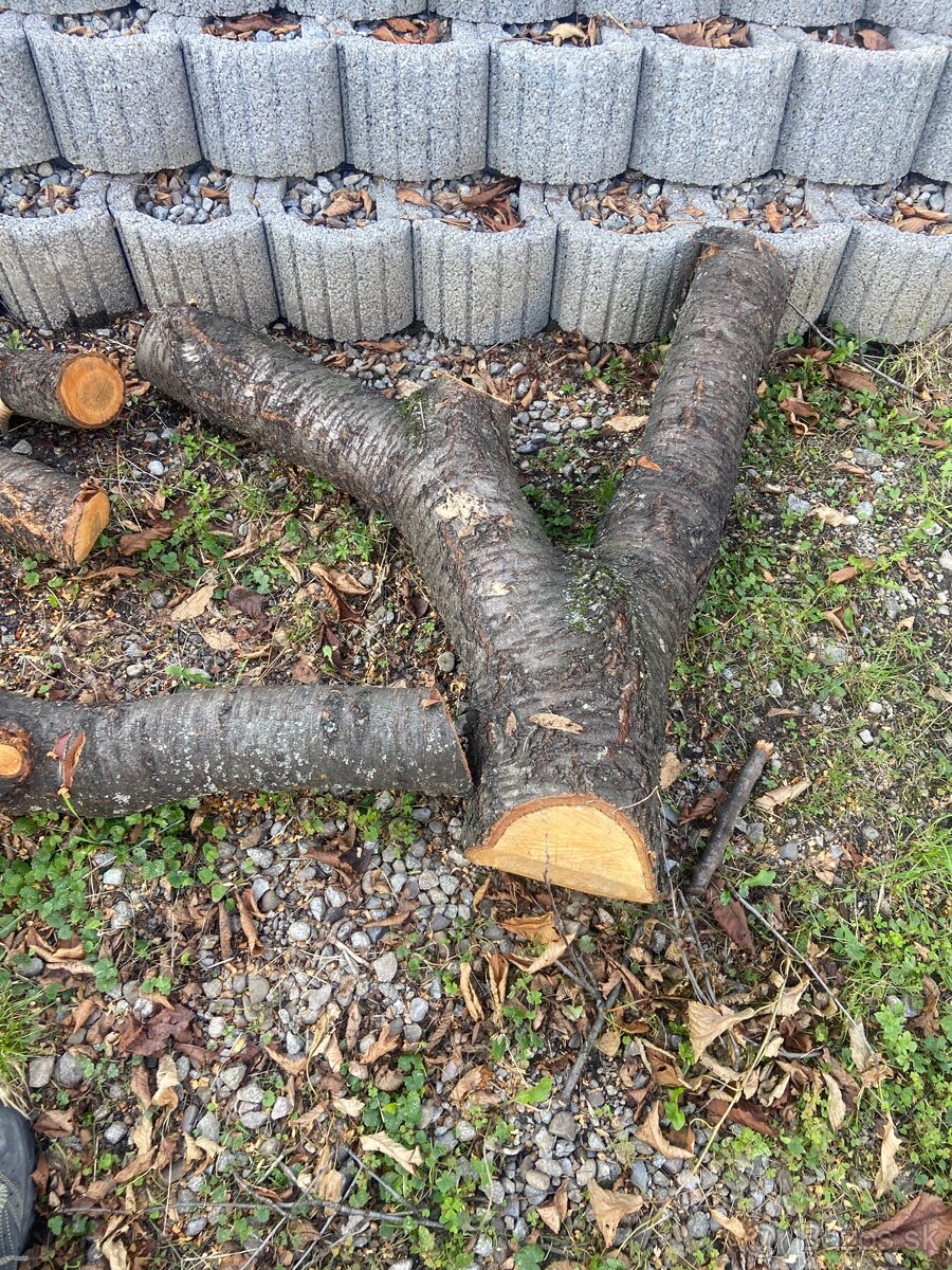 Čerešňove drevo - 4