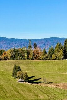 Stavebné pozemky - 110 000 m2 - Lom nad Rimavicou - 4