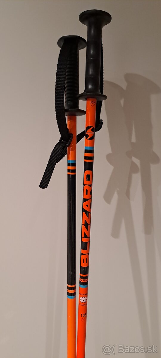 Lyziarske palice - 4