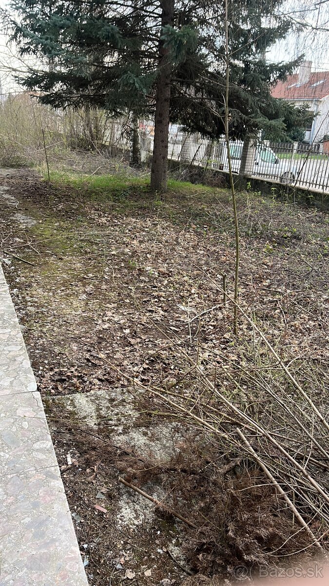 Kosenie ,mulčovanie - 4