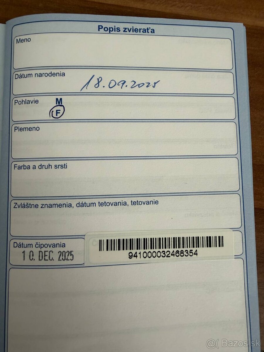 Predám šteniatko sibírskeho husky – fenka - 4